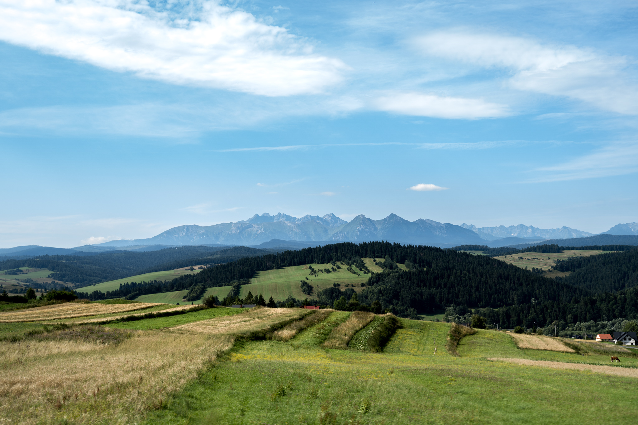 Specialized Women's Trail Days - SingleTrails Lechnica