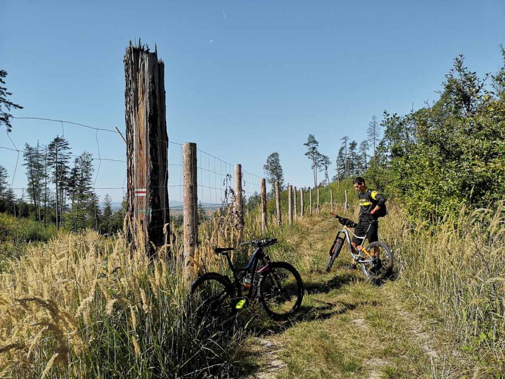 Wzgórza Strzelińskie trasa rowerowa